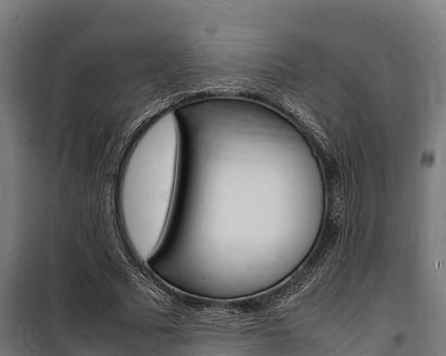 X0000100850681200806200802