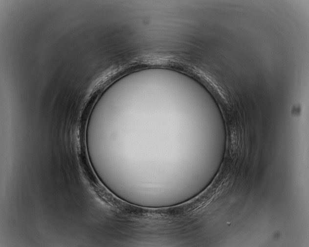 X0000100850682200806200802