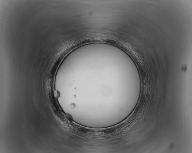 X0000100850683200806200802