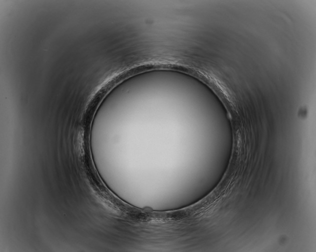 X0000100850684200806200802