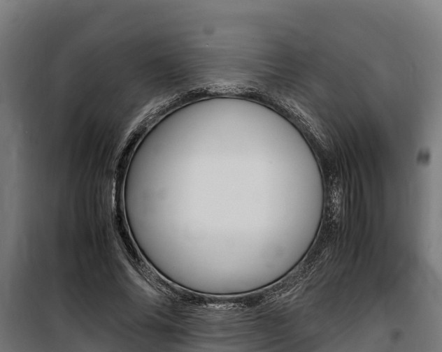 X0000100850686200806200802