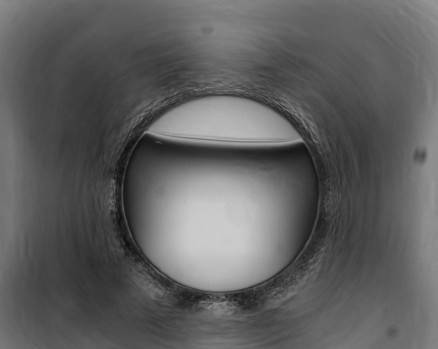 X0000100850689200806200802