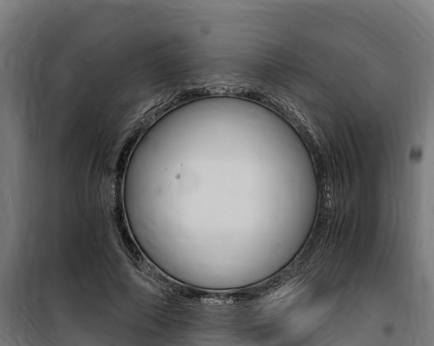 X0000100850690200806200802