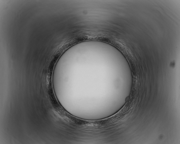 X0000100850691200806200802