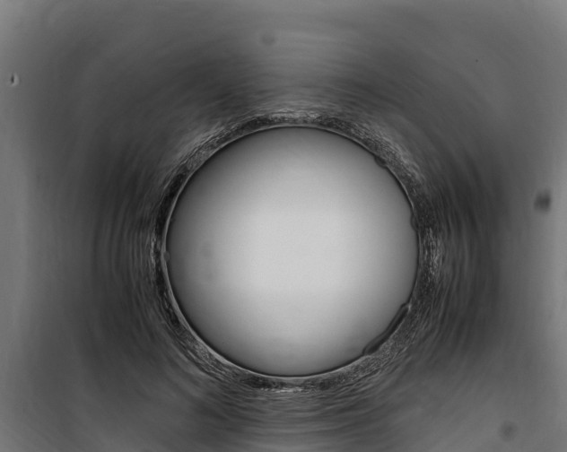 X0000100850692200806200802