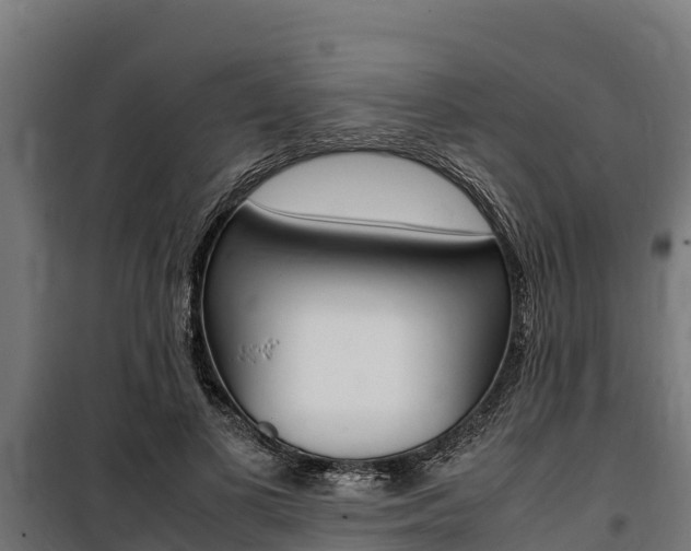 X0000100850693200806200802