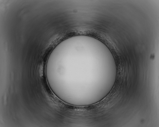 X0000100850694200806200802