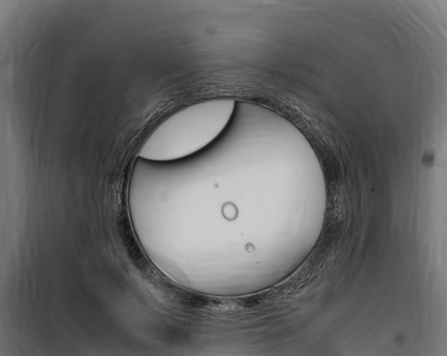 X0000100850695200806200802