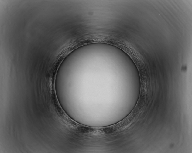X0000100850696200806200802