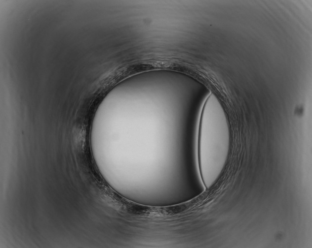 X0000100850697200806200802