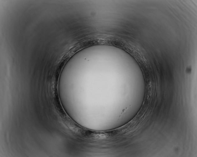 X0000100850698200806200802