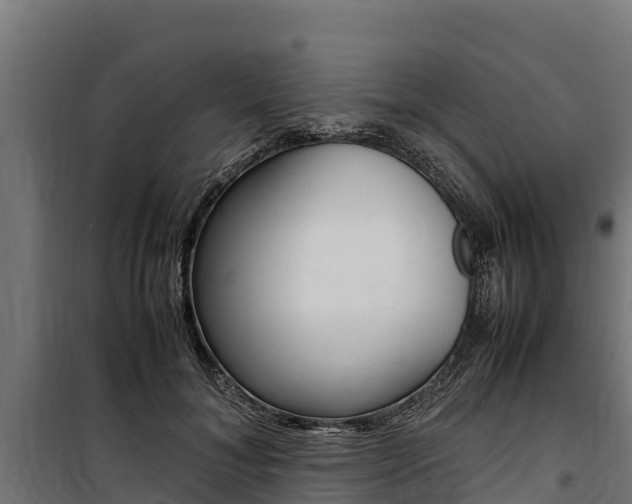 X0000100850700200806200802
