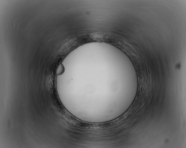 X0000100850702200806200802