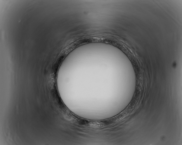X0000100850707200806200802