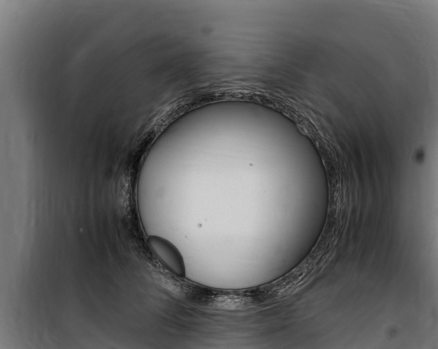 X0000100850708200806200802