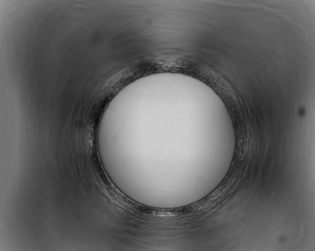 X0000100850710200806200802