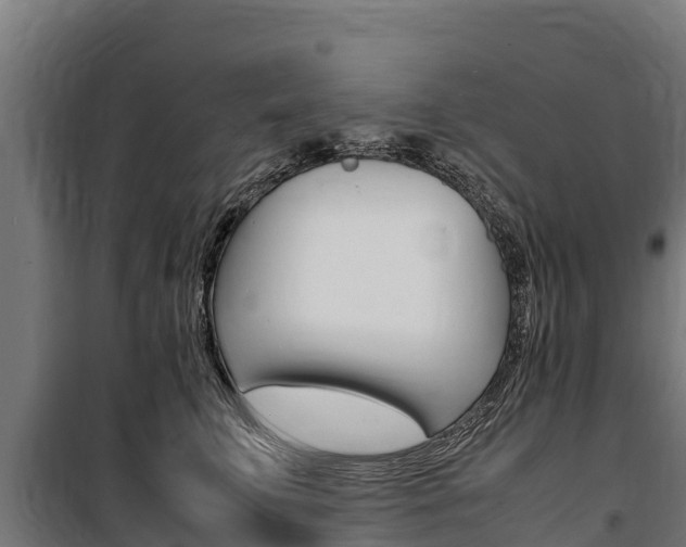 X0000100850711200806200802