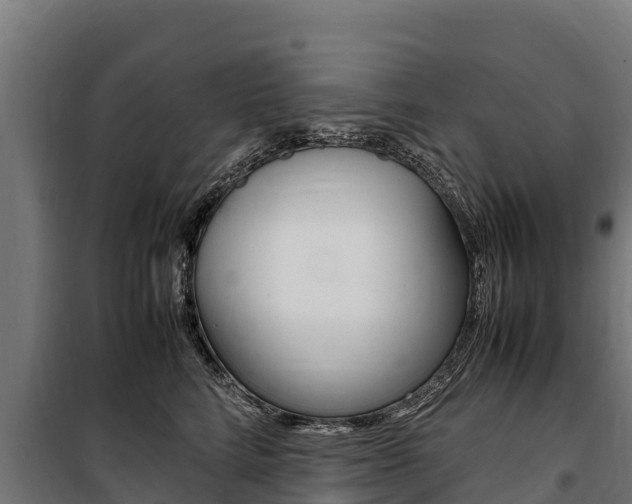 X0000100850712200806200802