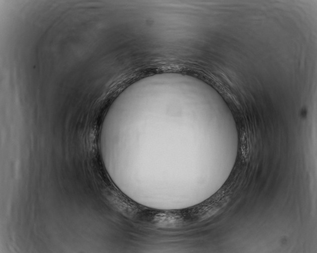 X0000100850714200806200802