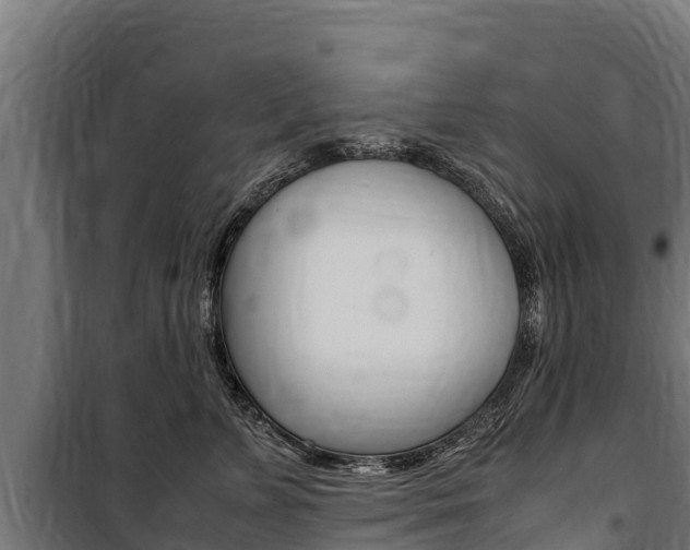 X0000100850715200806200802