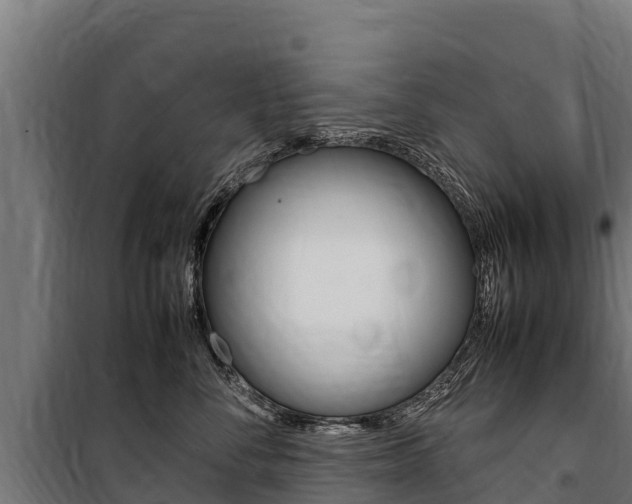 X0000100850716200806200802
