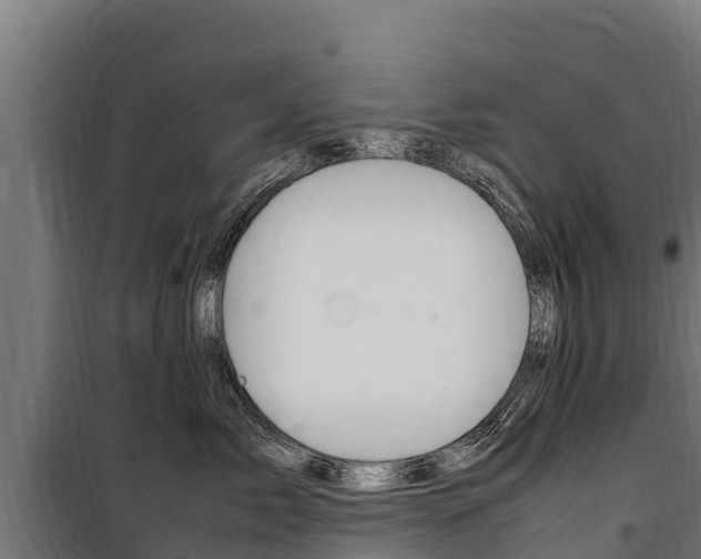 X0000100850717200806200802