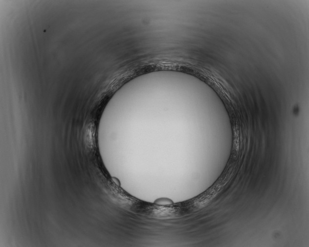 X0000100850718200806200802