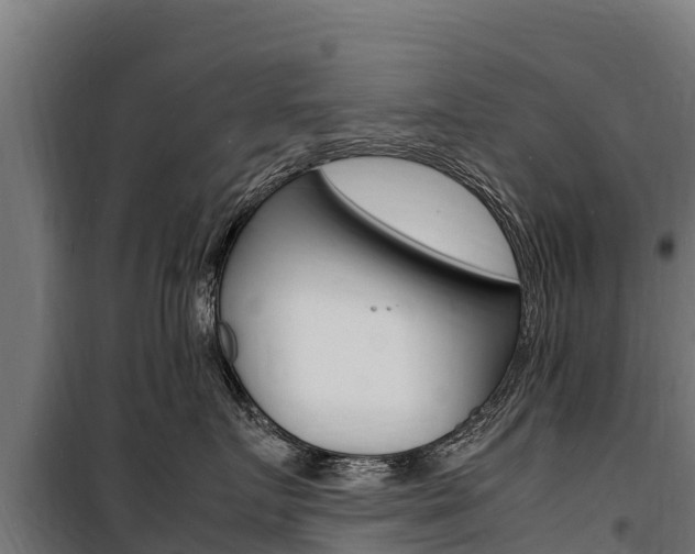 X0000100850719200806200802