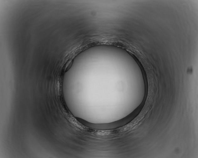 X0000100850720200806200802