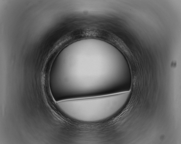 X0000100850722200806200801