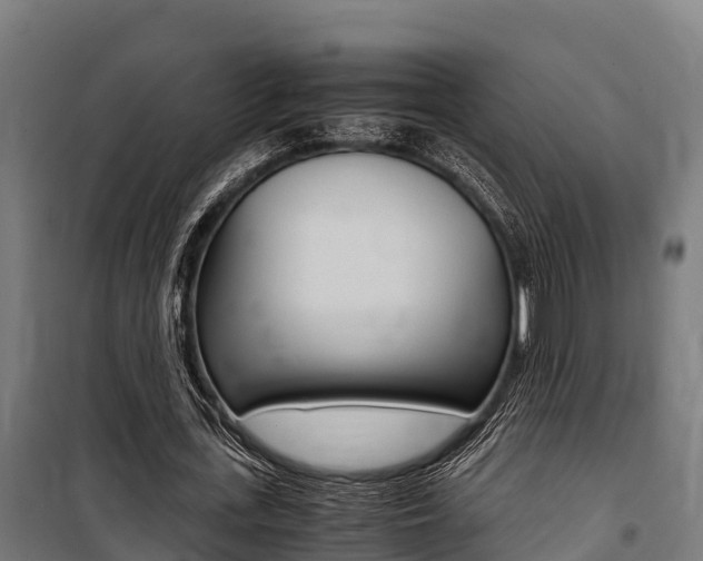 X0000100850723200806200801