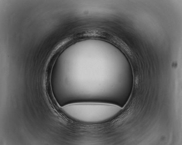 X0000100850724200806200801