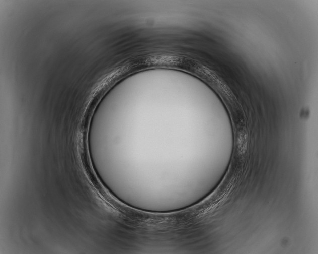 X0000100850725200806200801