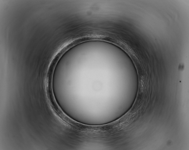 X0000100850726200806200801
