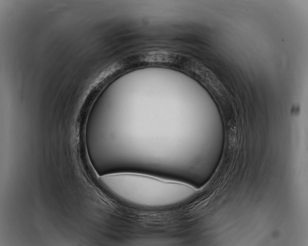 X0000100850727200806200801