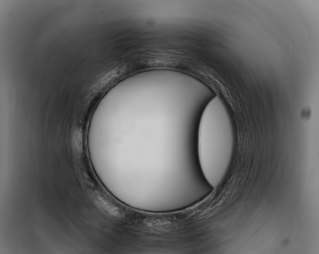 X0000100850729200806200801