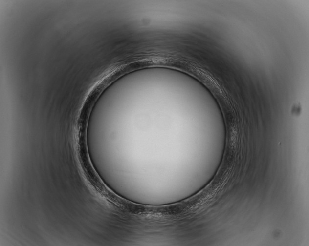 X0000100850730200806200801