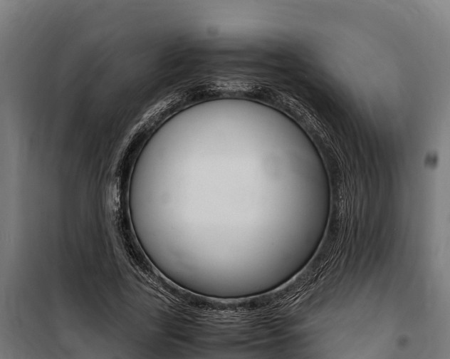 X0000100850731200806200801
