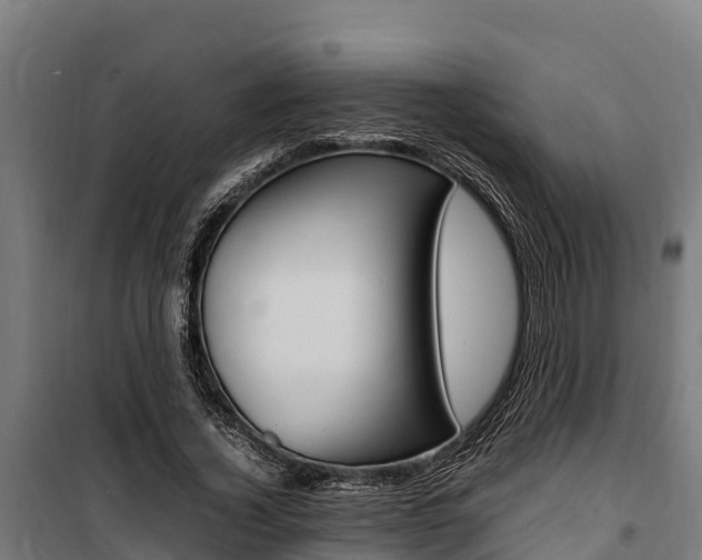 X0000100850732200806200801