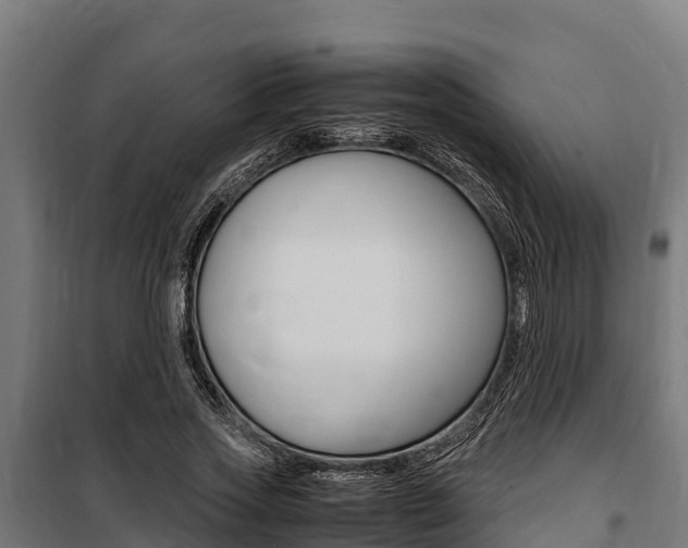 X0000100850733200806200801