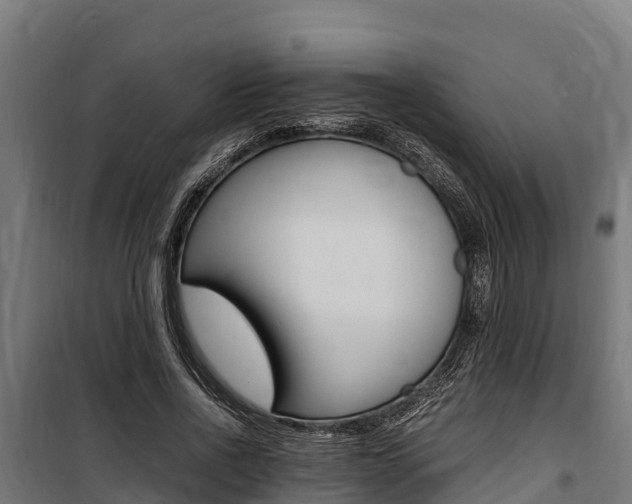 X0000100850734200806200801