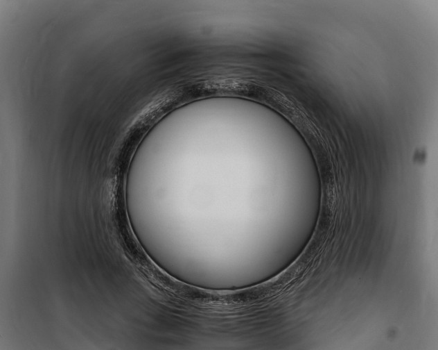 X0000100850735200806200801