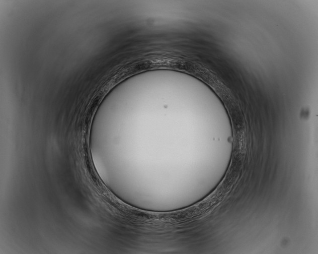X0000100850737200806200801