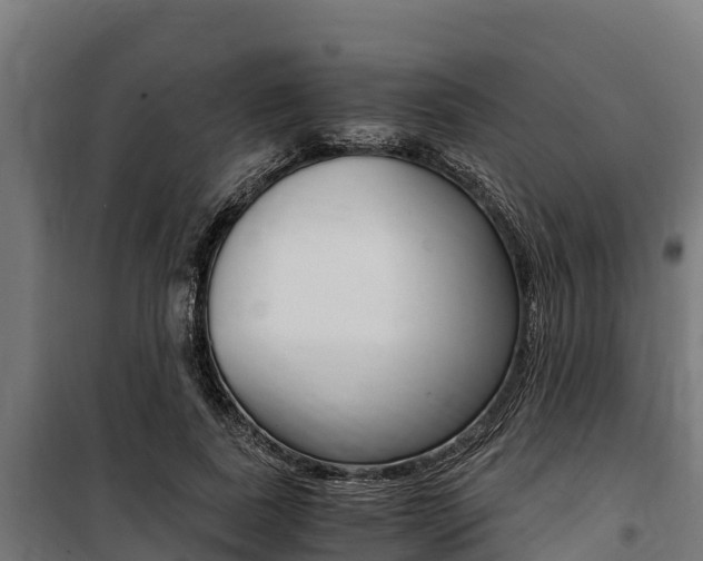 X0000100850739200806200801
