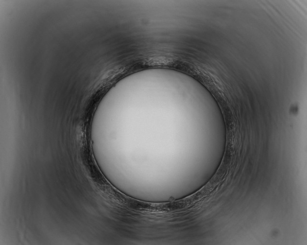 X0000100850743200806200801