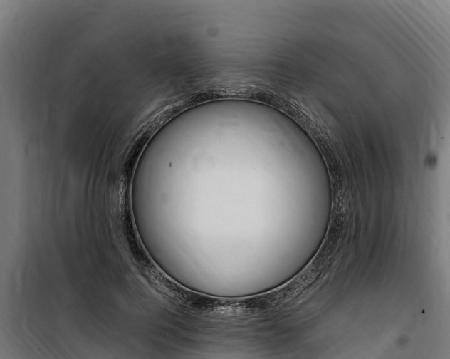 X0000100850744200806200801