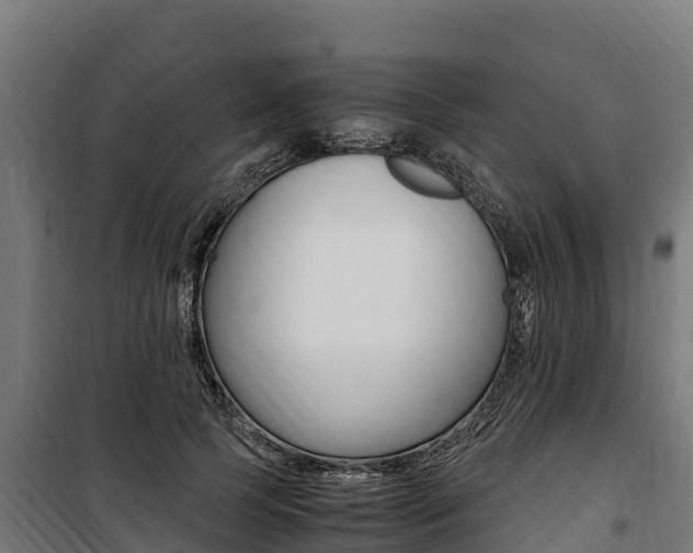 X0000100850745200806200801