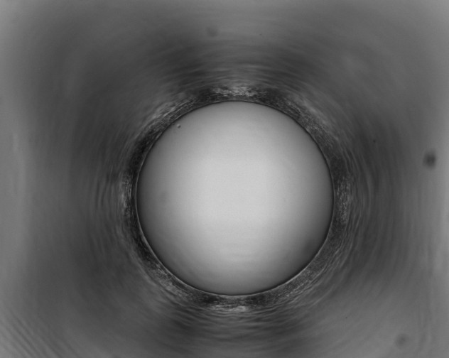 X0000100850747200806200802