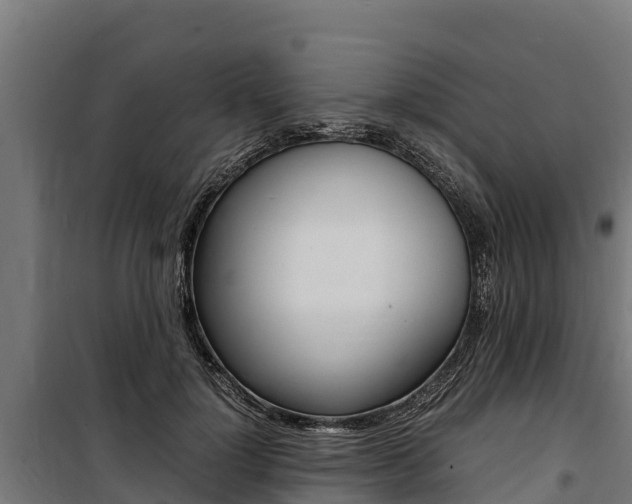X0000100850748200806200802