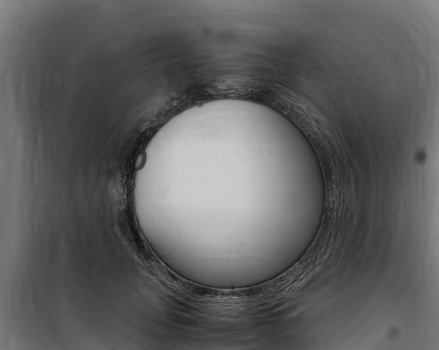 X0000100850751200806200802